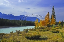 CANADA;ALBERTA;ICEFIELD_PARKWAY;CANADIAN_ROCKIES;ROCKY_MOUNTAINS;WATER;FALL;FALL